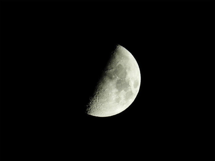 DSCN0211