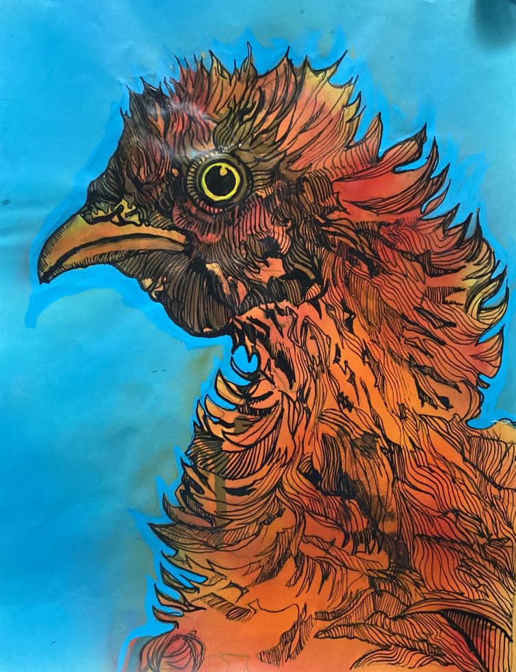 bird-2